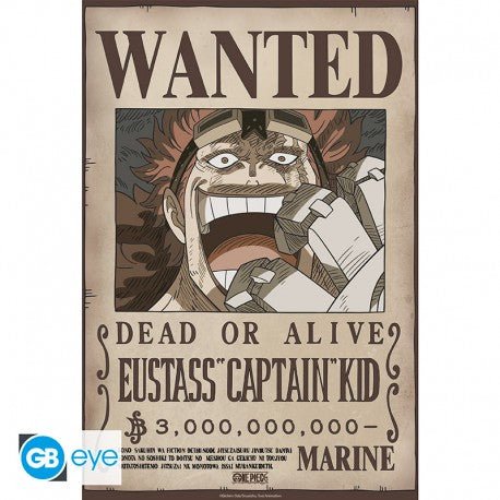 one-piece-poster-kid