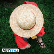 one-piece-luffy-straw-hat someone wearing it