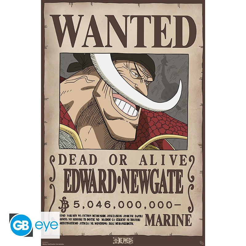 One Piece Wanted Whitebeard poster - 91,5 x 61 cm