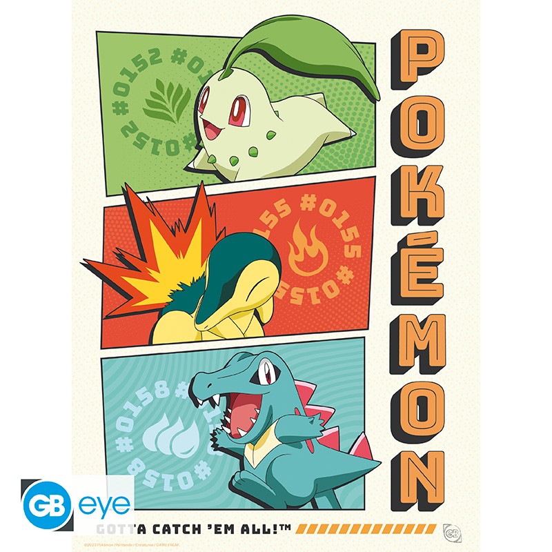 Pokémon Portfolio 9 Starters posters -  21 x 29,7 cm