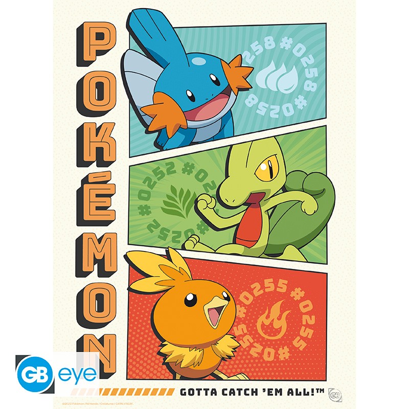 Pokémon Portfolio 9 Starters posters -  21 x 29,7 cm