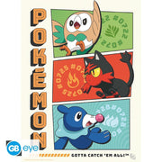 Pokémon Portfolio 9 Starters posters - 21 x 29,7 cm - Animerch