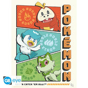Pokémon Portfolio 9 Starters posters - 21 x 29,7 cm - Animerch
