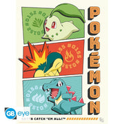 Pokémon Portfolio 9 Starters posters - 21 x 29,7 cm - Animerch