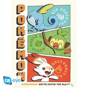 Pokémon Portfolio 9 Starters posters - 21 x 29,7 cm - Animerch
