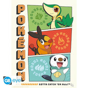 Pokémon Portfolio 9 Starters posters - 21 x 29,7 cm - Animerch