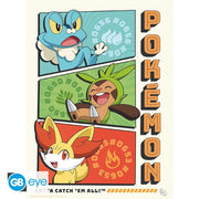 Pokémon Portfolio 9 Starters posters - 21 x 29,7 cm - Animerch