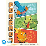 Pokémon Portfolio 9 Starters posters - 21 x 29,7 cm - Animerch