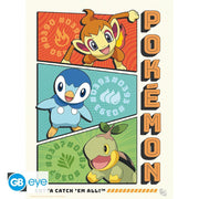 Pokémon Portfolio 9 Starters posters - 21 x 29,7 cm - Animerch