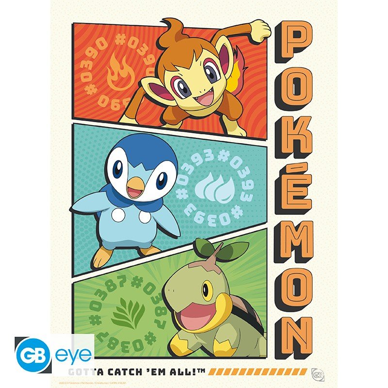 Pokémon Portfolio 9 Starters posters - 21 x 29,7 cm - Animerch