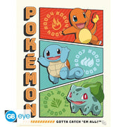 Pokémon Portfolio 9 Starters posters - 21 x 29,7 cm - Animerch