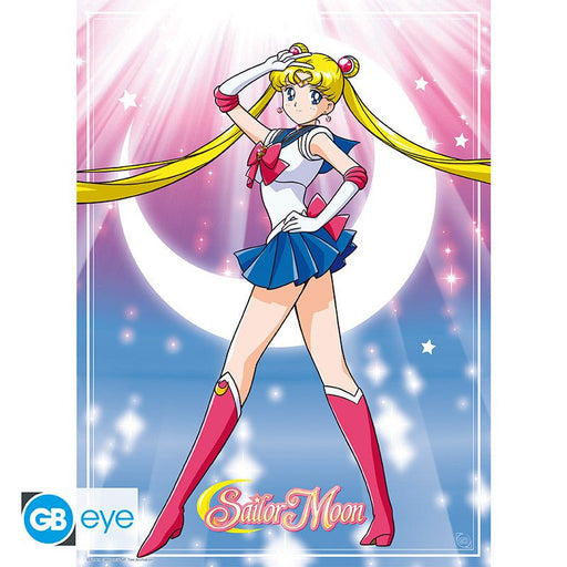Sailor Moon poster - 52 x 38 cm - Animerch