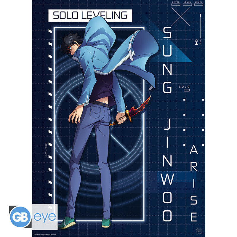 Solo Leveling poster Jinwoo Arise - 52 x 38 cm