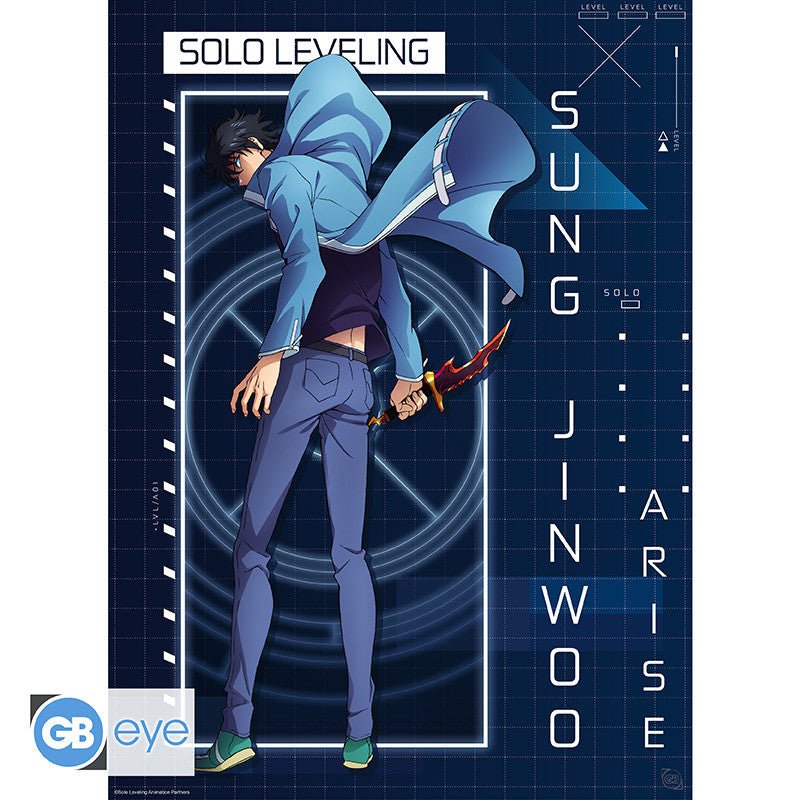 Solo Leveling poster Jinwoo Arise - 52 x 38 cm - Animerch