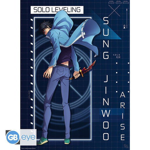 Solo Leveling poster Jinwoo Arise - 52 x 38 cm - Animerch